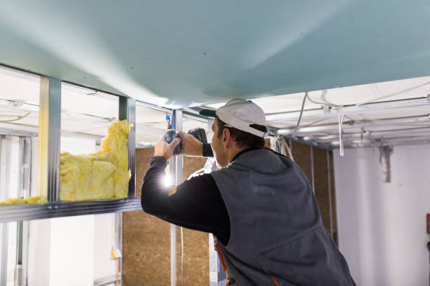 Best Insulation Removal  in Amsterdam, NY