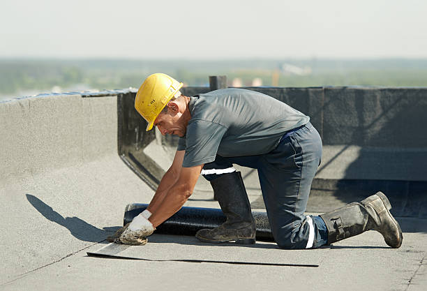 Best Wall Insulation Contractor  in Amsterdam, NY