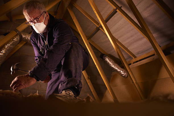 Best Blown-in Insulation  in Amsterdam, NY