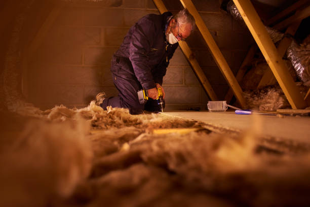 Best Insulation Repair Services  in Amsterdam, NY