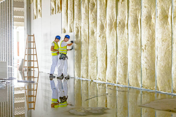 Best Spray Foam Insulation  in Amsterdam, NY